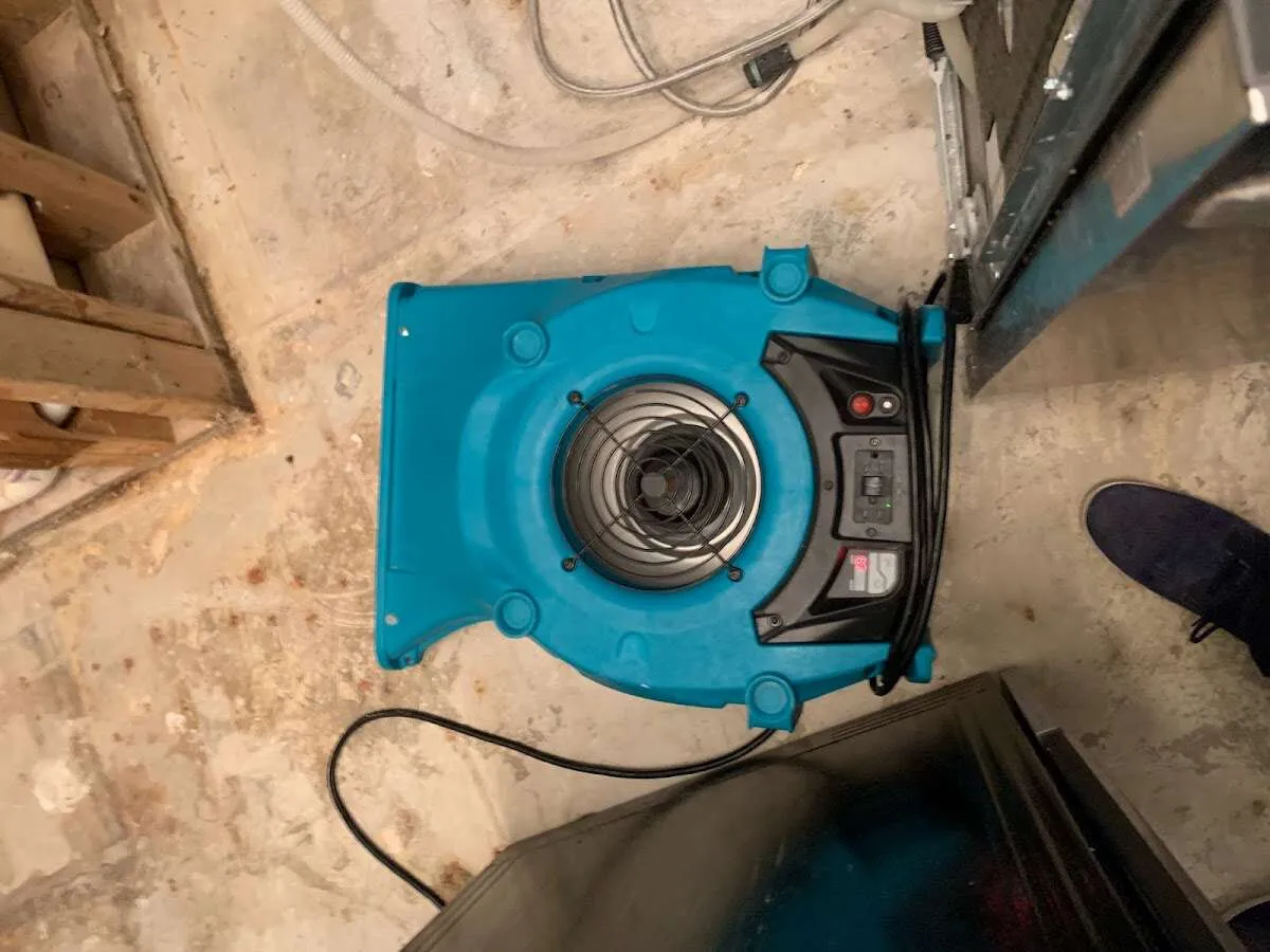 Air mover drying equipment for Mold Remediation & Removal in Mount Sterling