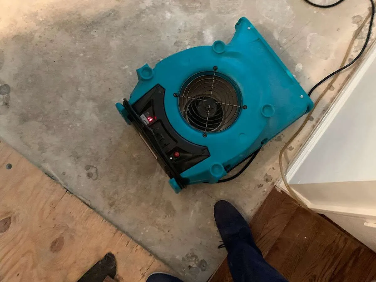 Air mover drying subfloor during Commercial Water Damage Restoration in Mount Sterling